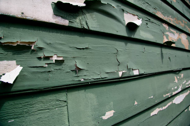 Best Demolition Debris Removal  in Graceville, FL